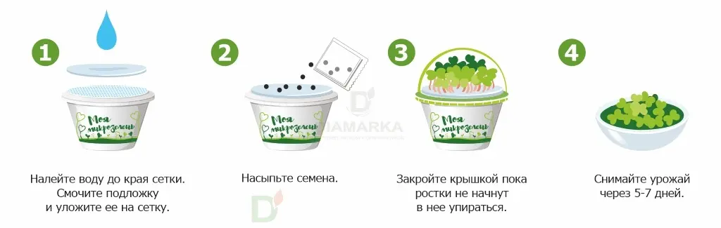 Набор для выращивания Здоровья клад Брюква